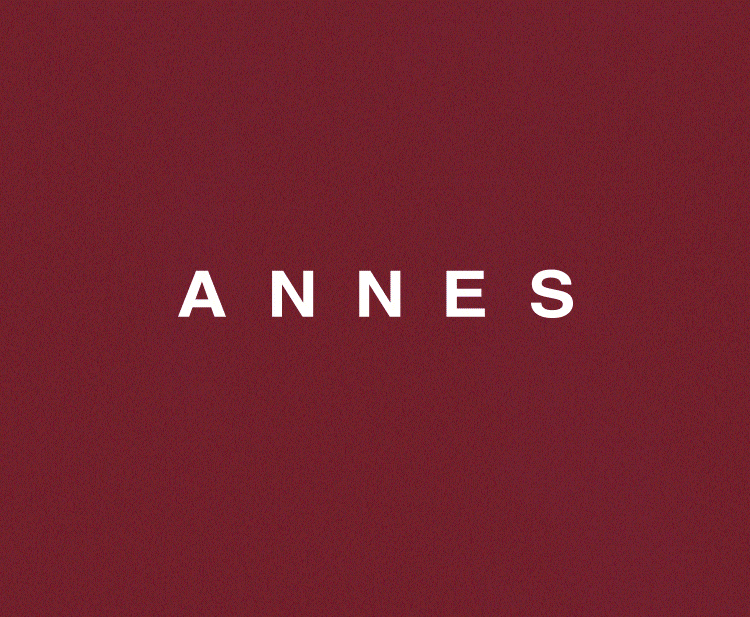 ANNES精品女鞋形象设计