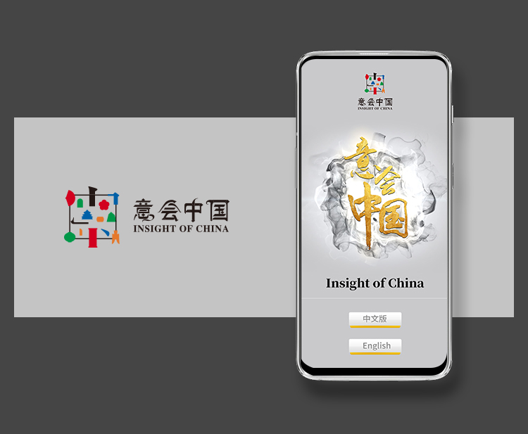 意会中国
