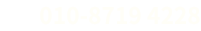 010-87194228